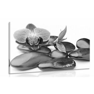 Obraz kamienie do masażu wellness w kolorze czarnym i białym obraz
