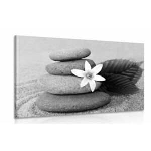 Obraz kwiat i kamienie w piasku w wersji czarno-białej obraz