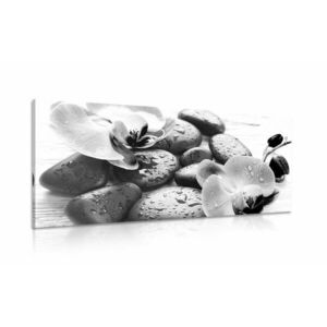 Obraz magiczna gra kamieni i orchidei w wersji czarno-białej obraz
