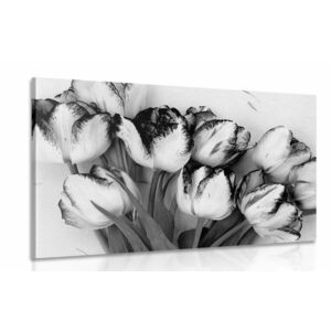 Obraz wiosenne tulipany w wersji czarno-białej obraz