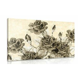 Obraz bukiet róż w stylu vintage w sepii obraz