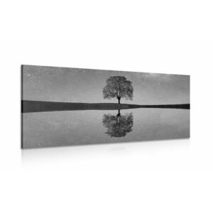 Obraz rozgwieżdżone niebo nad samotnym drzewem w wersji czarno-białej obraz