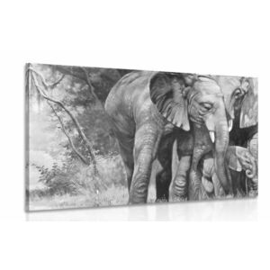 Obraz rodzina słoni w wersji czarno-białej obraz