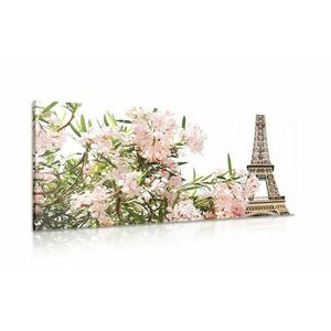 Obraz Wieża Eiffla i różowe kwiaty obraz
