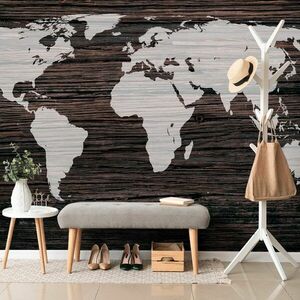 Tapeta mapa świata na drewnie obraz