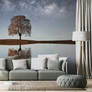 Fototapeta gwiaździste niebo nad samotnym drzewem obraz