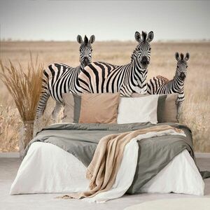 Fototapetatrzy zebry na sawannie obraz