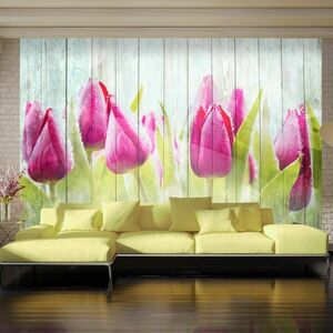 Fototapeta tulipany na białym drewni obraz