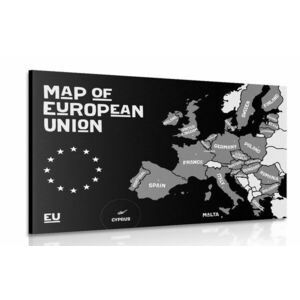 Obraz mapa edukacyjna z czarno-białymi nazwami państw Unii Europejskiej obraz