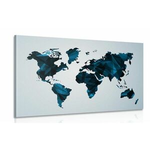 Obraz mapa świata w grafice wektorowej obraz