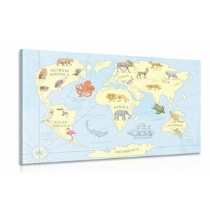 Obraz mapa świata z zwierzętami obraz