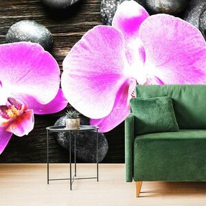 Fototapeta piękna orchidea i kamienie obraz