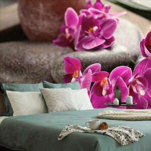 Tapeta piękna orchidea i kamienie Zen obraz