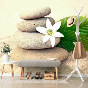Fototapeta biały kwiat i kamienie na piasku obraz