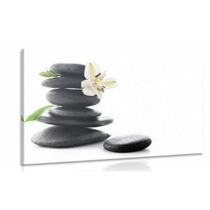 Obraz kamienie zen z lilią obraz