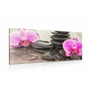 Obraz orchidea i kamienie Zen na drewnianej podstawie obraz