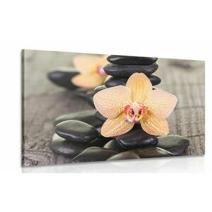 Obraz orchidea i kamienie Zen obraz