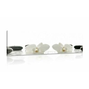 Obraz białe kwiaty orchidei obraz