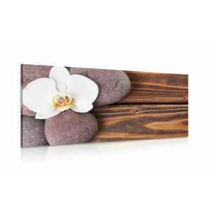 Obraz kamienie wellness i orchidea na drewnianym tle obraz