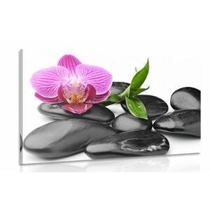 Obraz kamienie do masażu wellness obraz