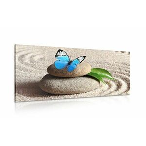 Obraz niebieski motyl na kamieniu zen obraz