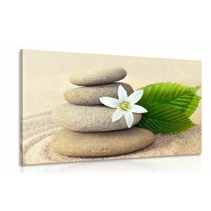 Obraz biały kwiat i kamienie w piasku obraz