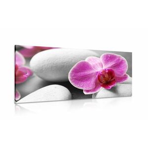 Obraz kwiaty orchidei na białych kamieniach obraz