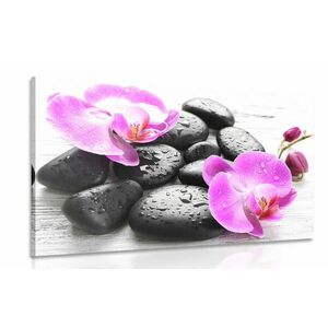 Obraz piękne połączenie kamieni i orchidei obraz