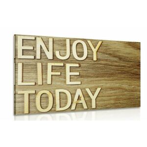 Obraz z cytatem - Enjoy life today obraz
