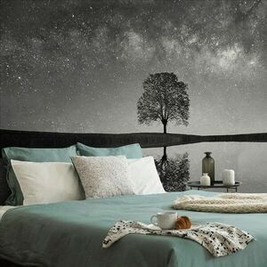 Fototapeta czarno-białe gwiaździste niebo nad samotnym drzewem obraz