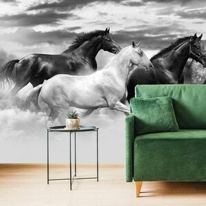 Tapeta czarno-białe stado koni obraz