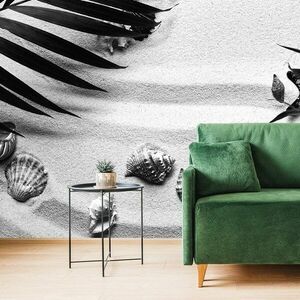 Fototapeta czarno-białe muszle pod liśćmi palmowymi obraz