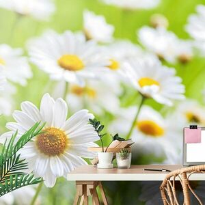 Samoprzylepna fototapeta wiosenna łąka pełna kwiatów obraz