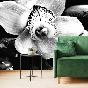 Samoprzylepna fototapeta czarno-biała egzotyczna orchidea obraz