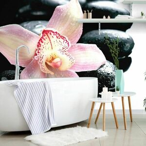 Samoprzylepna fototapeta egzotyczna orchidea obraz