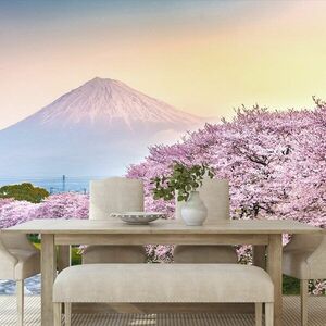 Samoprzylepna fototapeta piękna Japonia obraz