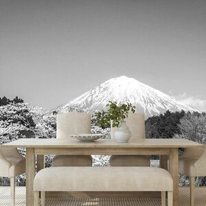 Samoprzylepna fototapeta góra Fuji w czerni i bieli obraz