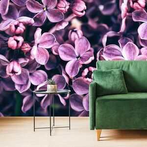 Samoprzylepna fototapeta fioletowe kwiaty bzu obraz