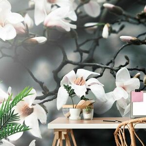 Samoprzylepna fototapeta przebudzenie magnolii obraz