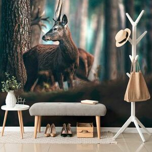 Samoprzylepna fototapeta jeleń w sosnowym lesie obraz