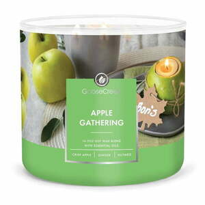 Zapachowa sojowa świeca czas palenia 35 h Apple Gathering – Goose Creek obraz