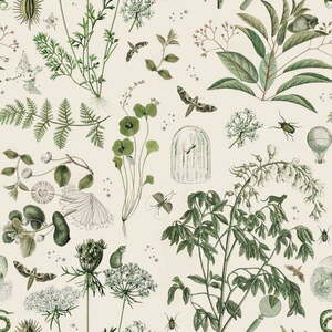 Tapeta 100x280 cm Green Botanical Stories – Dekornik obraz