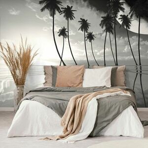 Samoprzylepna tapeta czarno-białe tropikalne palmy obraz