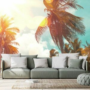 Samoprzylepna tapeta promienie słońca między palmami obraz