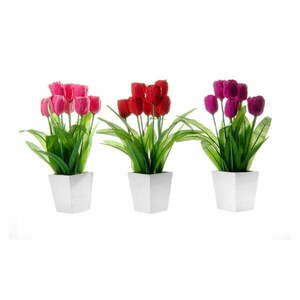 Zestaw 3 kwiatków dekoracyjnych w doniczkach Casa Selección Tulip obraz