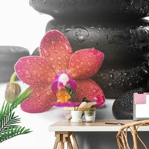 Samoprzylepna fototapeta orchidea i zen kamienie na białym tle obraz