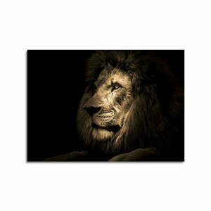 Szklany obraz 100x70 cm Lion – Styler obraz