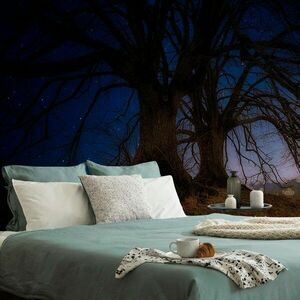 Samoprzylepna tapeta drzewa w nocnym krajobrazie obraz