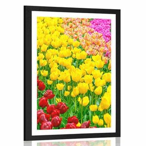 Plakat z passe-partout ogród pełen tulipanów obraz