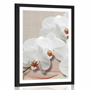 Plakat z passe-partout biała orchidea na płótnie obraz